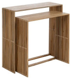 Conjunto Consola Totolo