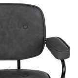 Chair Apikalia